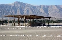 Private Adventure to Chauchilla Cahuachi and the Nasca Aqueducts