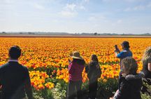 Private Tulip & Windmill Layover Tour from Schiphol Airport