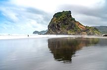 Auckland West Coast Half-Day Private Tour