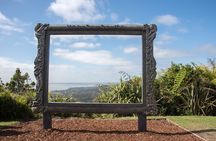 Auckland West Coast Half-Day Private Tour