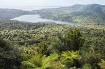 Auckland West Coast Half-Day Private Tour