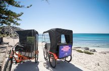 Rottnest Guided 90 Minute Electric Rickshaw Adventure