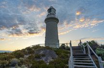 Rottnest Island 90-minute E-Rickshaw Adventure with Tour Guide