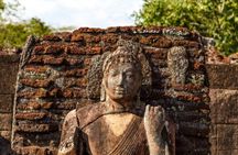 Polonnaruwa ancient city tour & minneriya safari from sigiriya