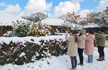 Jeju Island East UNESCO Day Tour