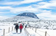 Jeju Island SouthWest UNESCO Day Tour