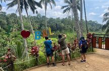 Private Driver and Tour Guide in Bali