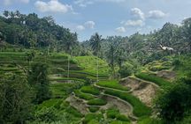 Private Driver and Tour Guide in Bali