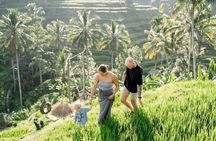 Ubud Adventure All Inclusive Private Day Tour