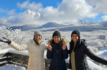 South-West Jeju Essentials: Hallasan & Signature Highlights