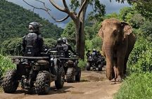 8 Hour Sticky Waterfall ATV and Zipline Guided Adventures