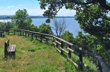 The spell of Lake Trasimeno - Trekking Tour