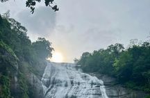 Sinharaja Rainforest & Madu River Boat Safari [ALL INCLUSIVE]