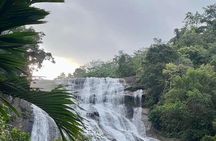 Sinharaja Rainforest & Madu River Boat Safari [ALL INCLUSIVE]