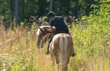 Vesuvius Sunset Horseback Ride & BBQ Experience!