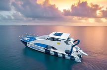 Puerto Plata Private Sunset Catamaran with Open Bar and BBQ