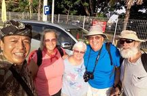 Shore Excursion Docked in Benoa Port Bali - Ubud Village Tour