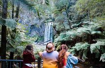 12 Apostles, Otways & Great Ocean Road Day Tour - 8 person max