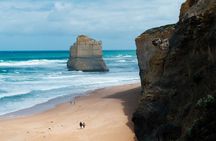 12 Apostles, Otways & Great Ocean Road Day Tour - 8 person max