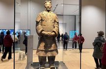 Terracotta tickets with professional guide in English /Italian 