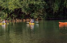 Mangrove River Kayak Tour Samara and Carrillo