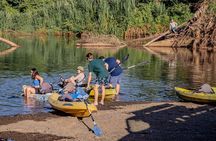 Mangrove River Kayak Tour Samara and Carrillo