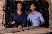 Wine Tasting with Food Pairings in Bari City Center