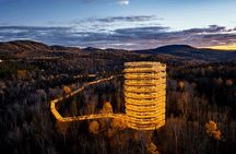 Treetop Observatory and Walk