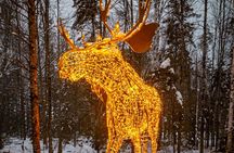 Treetop Observatory and Walk