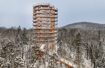 Treetop Observatory and Walk
