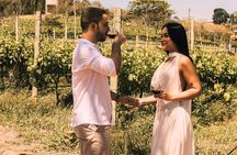 Superior Wine Tasting with Lunch on the slopes of Mt. Vesuvius