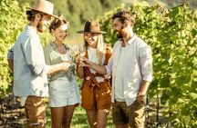 Pompeii Ruins Guided Tour with Entry, Dinner & Wine on Vesuvius