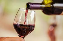 Pompeii Tour & Lunch with Wine Tasting Experience