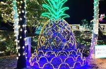 Holiday Festival of Lights Tour with Transport