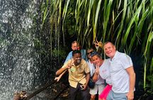 Best of Grenada: Waterfall, Grand Etang & Chocolate Half Day Tour