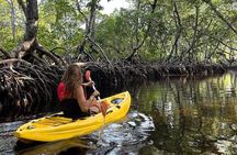 Mida creek mangrove Kayaking adventure in Watamu, Kenya