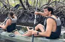 Mida creek mangrove Kayaking adventure in Watamu, Kenya
