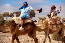 Agafay Camel Ride Dinner from Marrakech