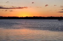 Eco Manatee and Wildlife Boat Tour