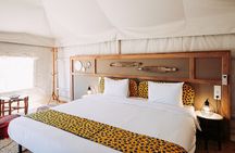 Night Under the Stars in the Agafay Desert w/ Dinner, Show by 4x4