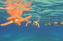 Private Snorkeling Aruba: Turtle & Fish Discovery (Customizable)