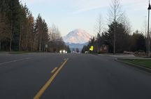 Mount Rainier Photo Tour with Private Sprinter Transport