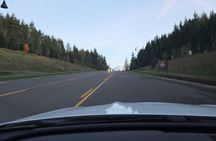 Mount Rainier Photo Tour with Private Sprinter Transport