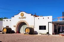 Wine and Olivicola Tour Wine and Oil Tastings