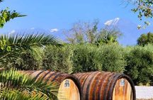 Wine and Olivicola Tour Wine and Oil Tastings