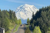 Mount Rainier Photo Tour with Private Sprinter Transport