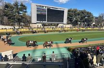 Horse Racing Tour with Local Fans in Nakayama Racecourse