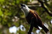 Curicancha Monteverde Nature Walk
