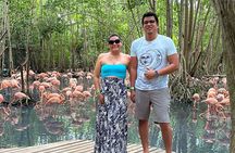 Private 6 - 7 hours tour - Discovering Cartagena Vip