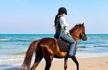 Horse Riding for All Skill Levels at Hua Hin Beach & Forest Trail